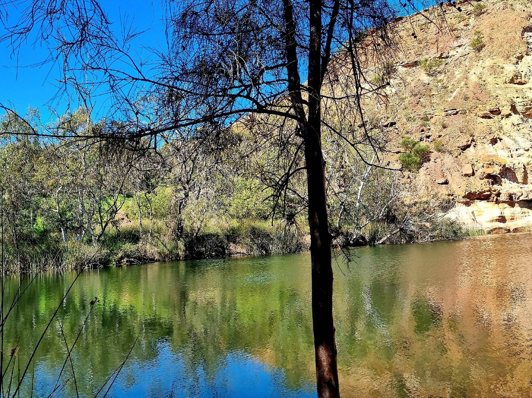 Ellendale Pool-Greenough必去景点