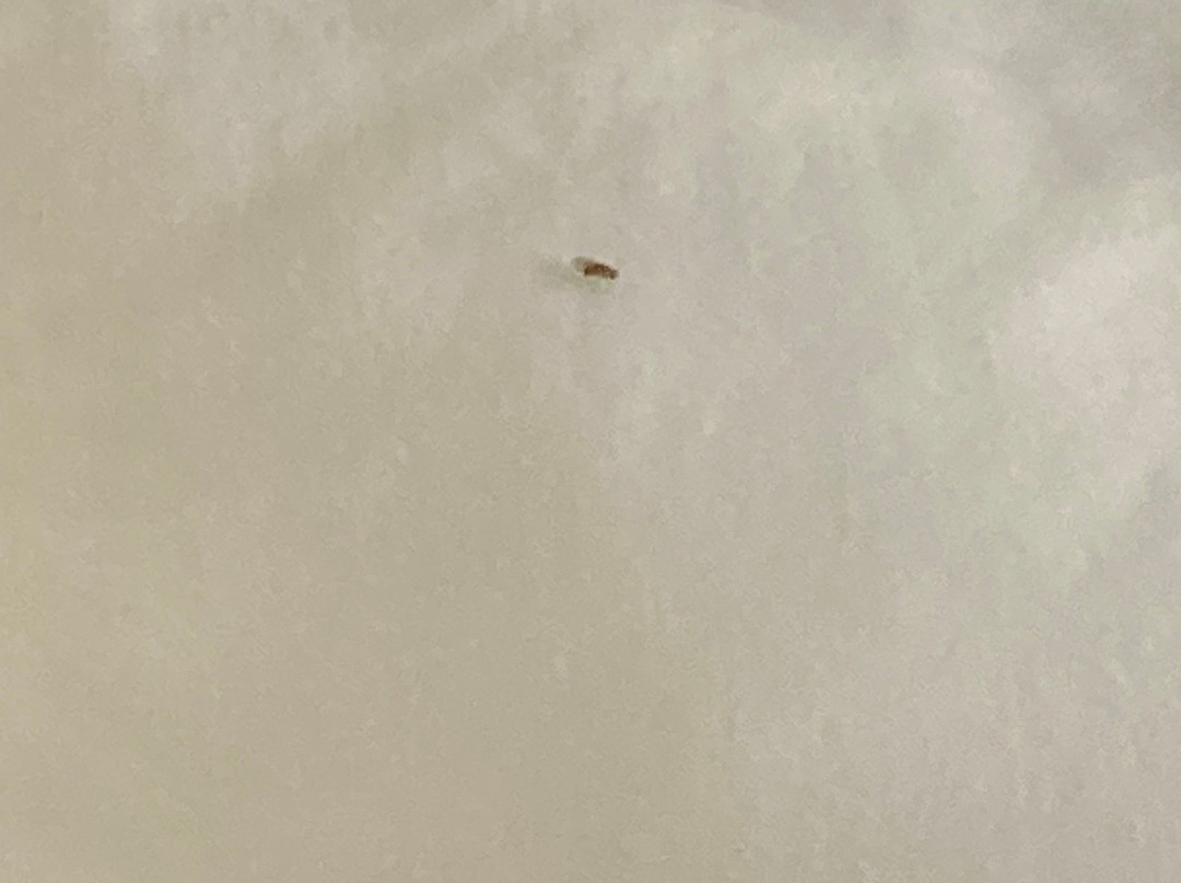 Wingate by Wyndham Athens near Downtown主图