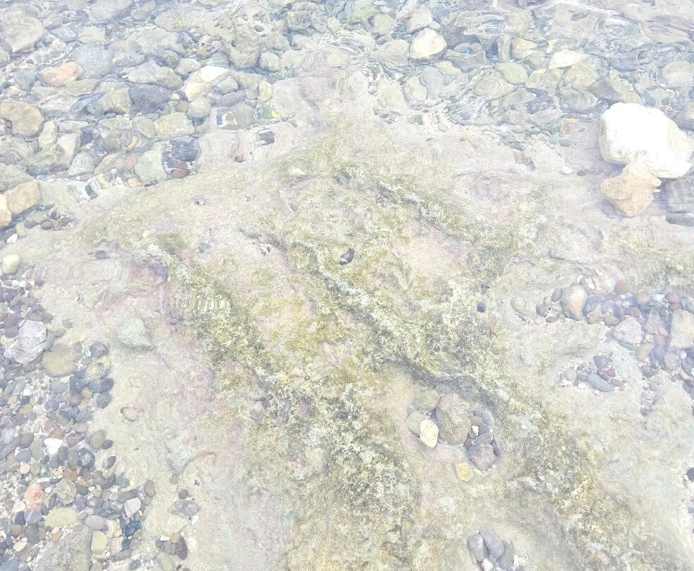 Spiaggia di San Vito-波利尼亚诺阿马雷必去景点