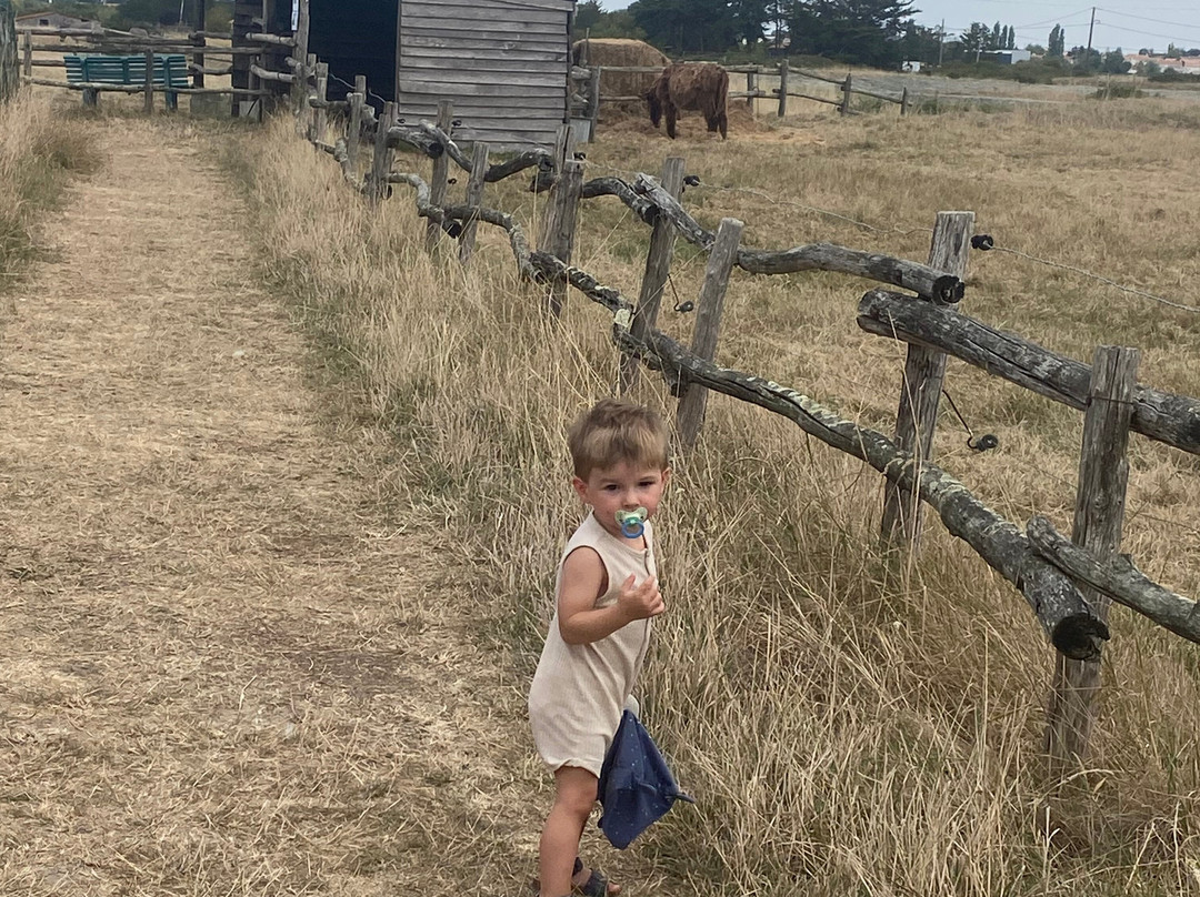La Maison de l'Âne-Beauvoir-Sur-Mer必去景点