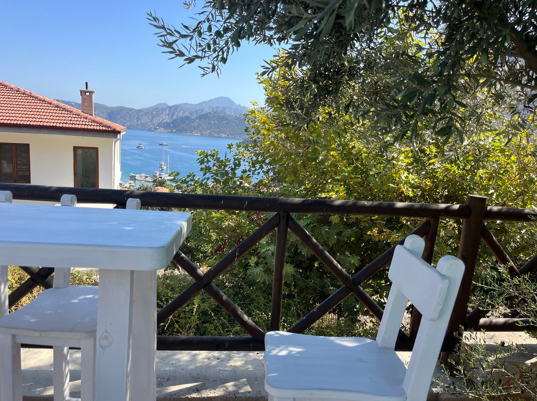 Boho Garden Selimiye主图