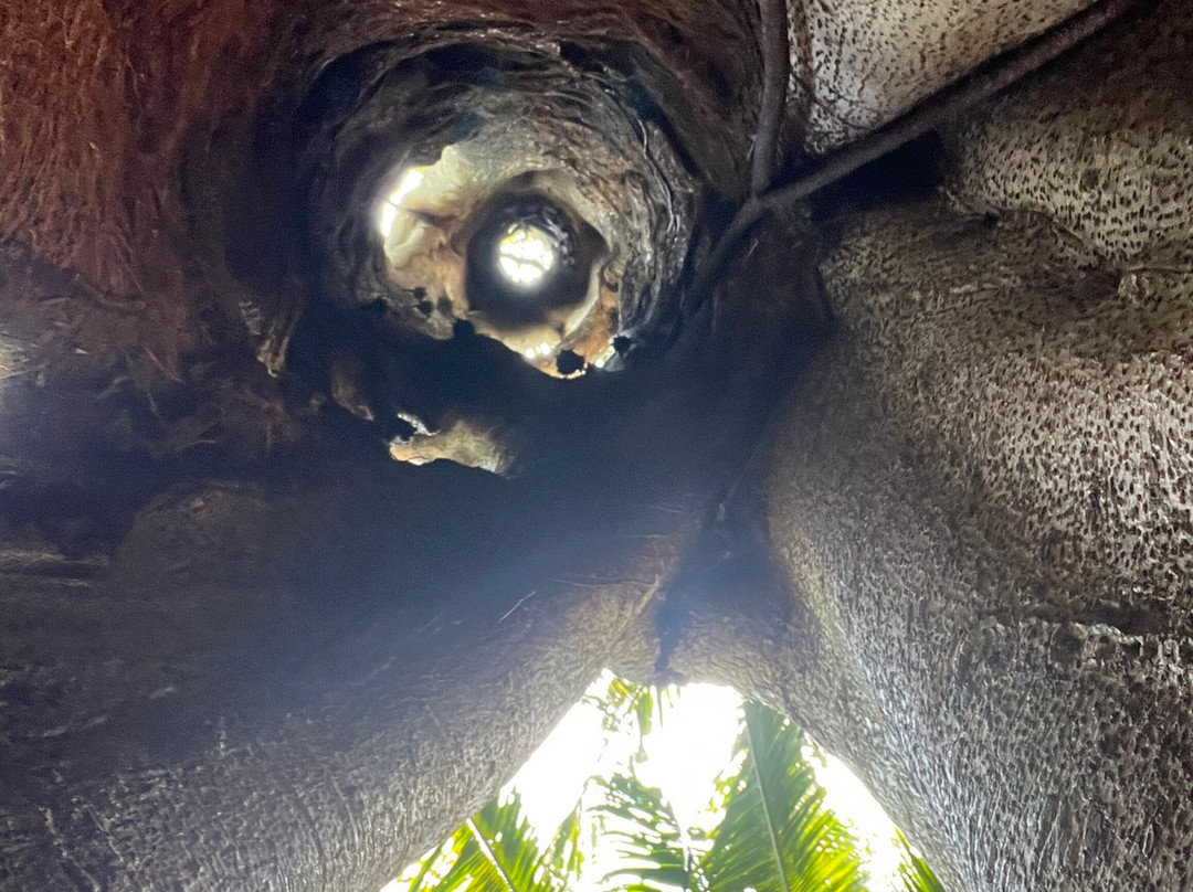 The Native Choice-Chacchoben必去景点