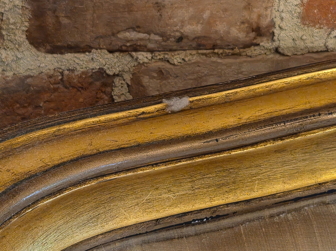 The Broad Leys Accommodation主图