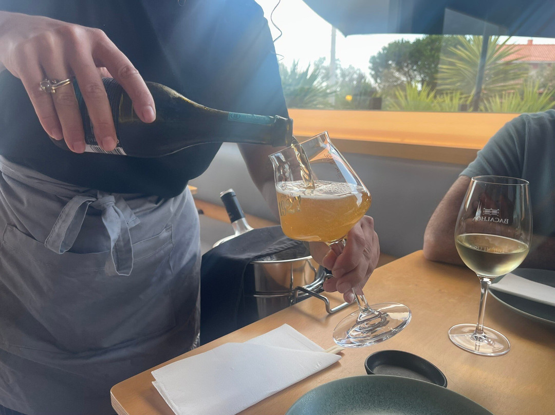 Aroma Sushi Lounge