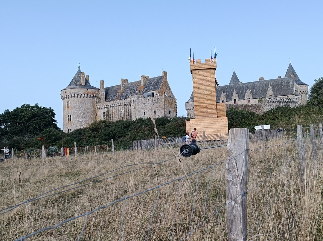 Domaine De Suscinio-Sarzeau必去景点