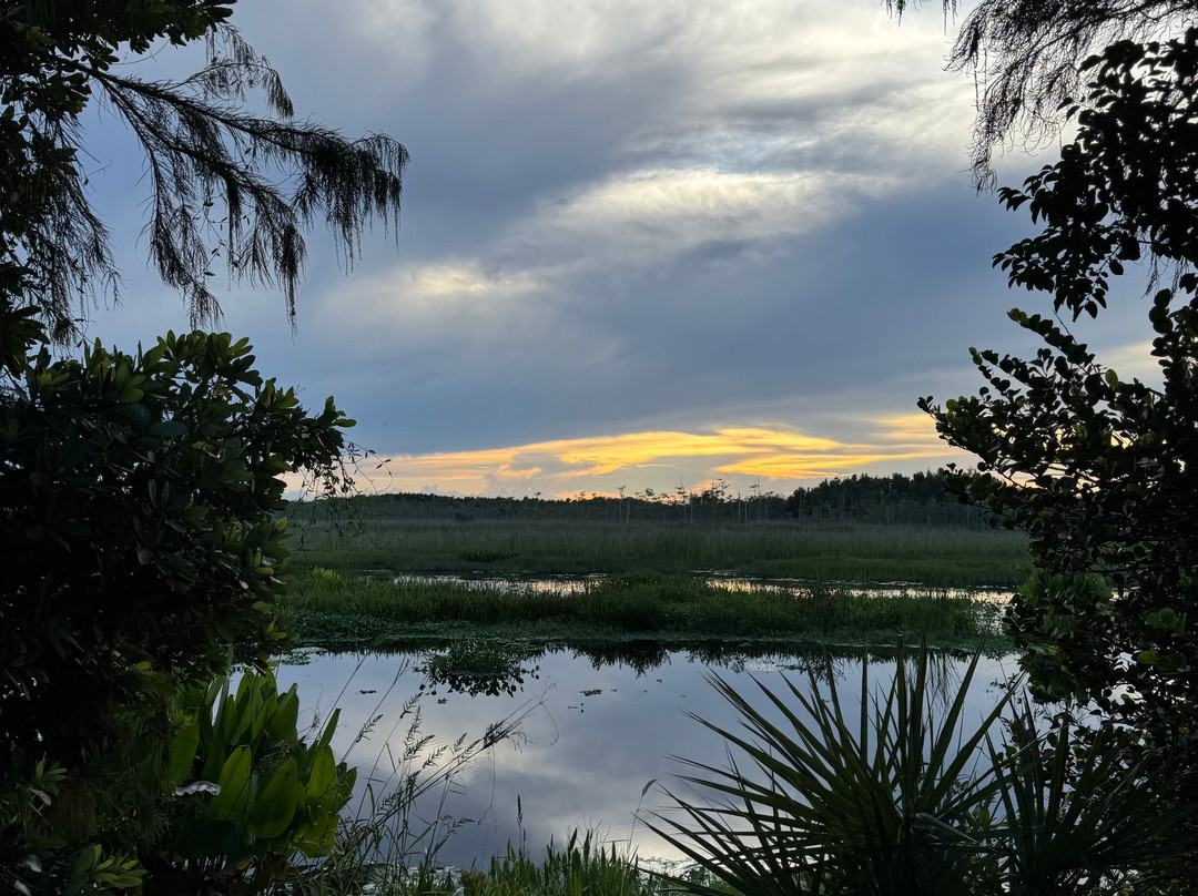 Apoxee Wilderness Trail-西棕榈滩必去景点