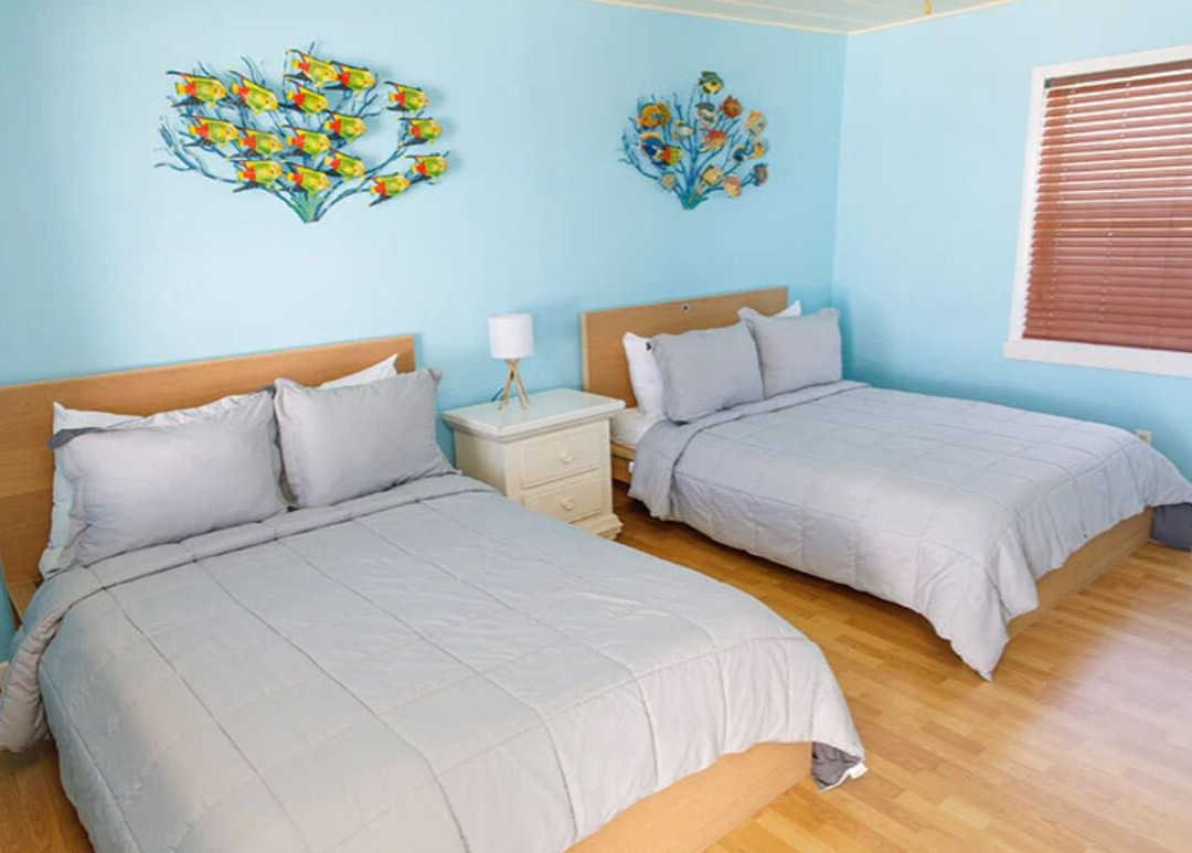 Snappers Key Largo主图