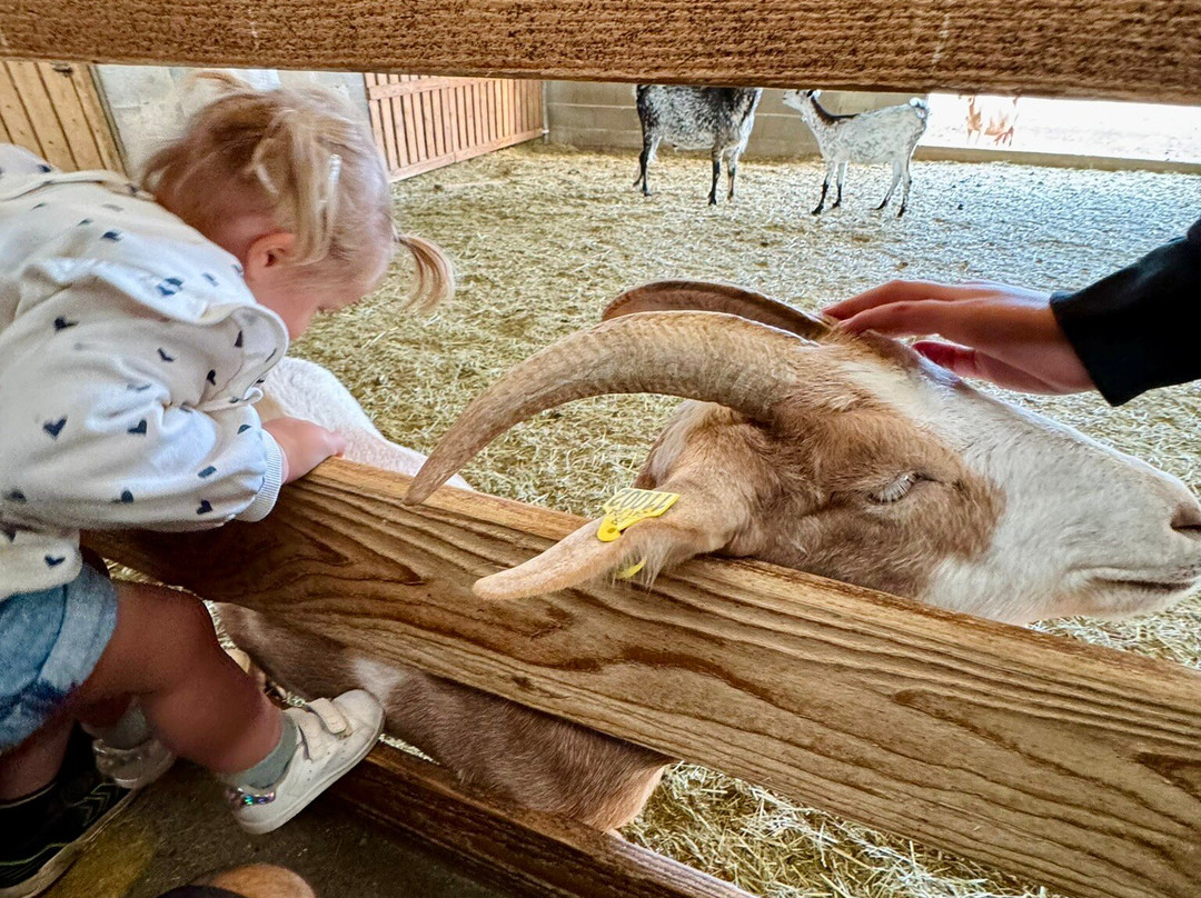Les Chevres qui Dansent-Le Grand-Serre必去景点