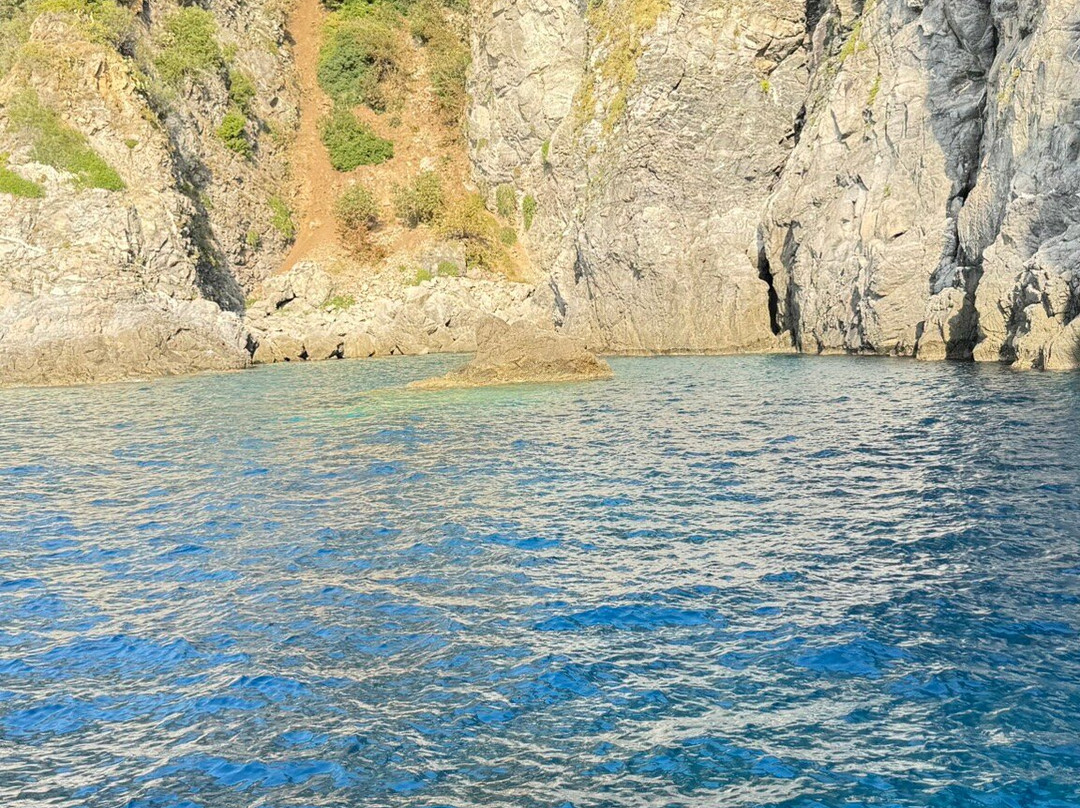 Pink Tour Costa Viola escursioni in barca (Cava Janculla-grotta delle Rondini)-Bagnara Calabra必去景点