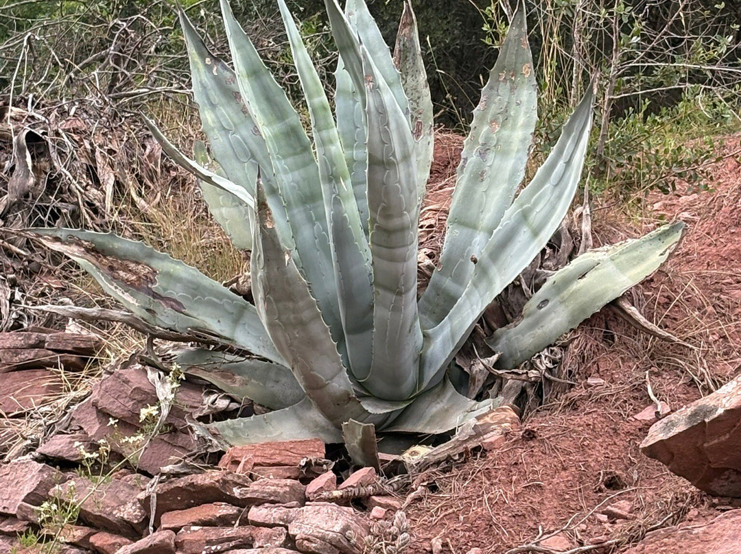 Mirador Garbi-Serra必去景点