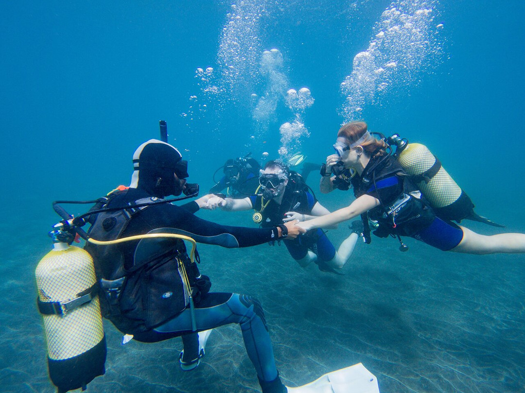 Aquarius Dive Center-阿罗纳必去景点