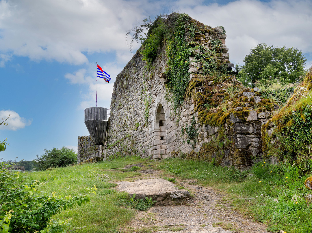 Ruines Château De La Roche Haute
