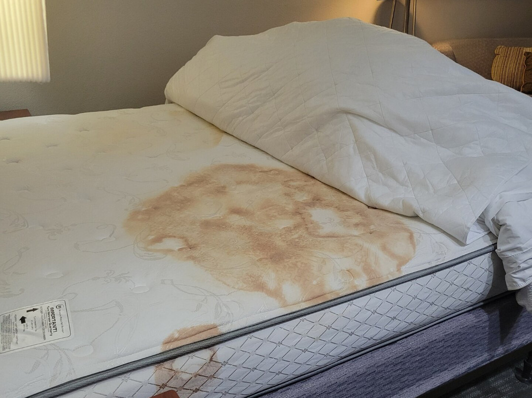 布朗斯维尔万怡酒店主图