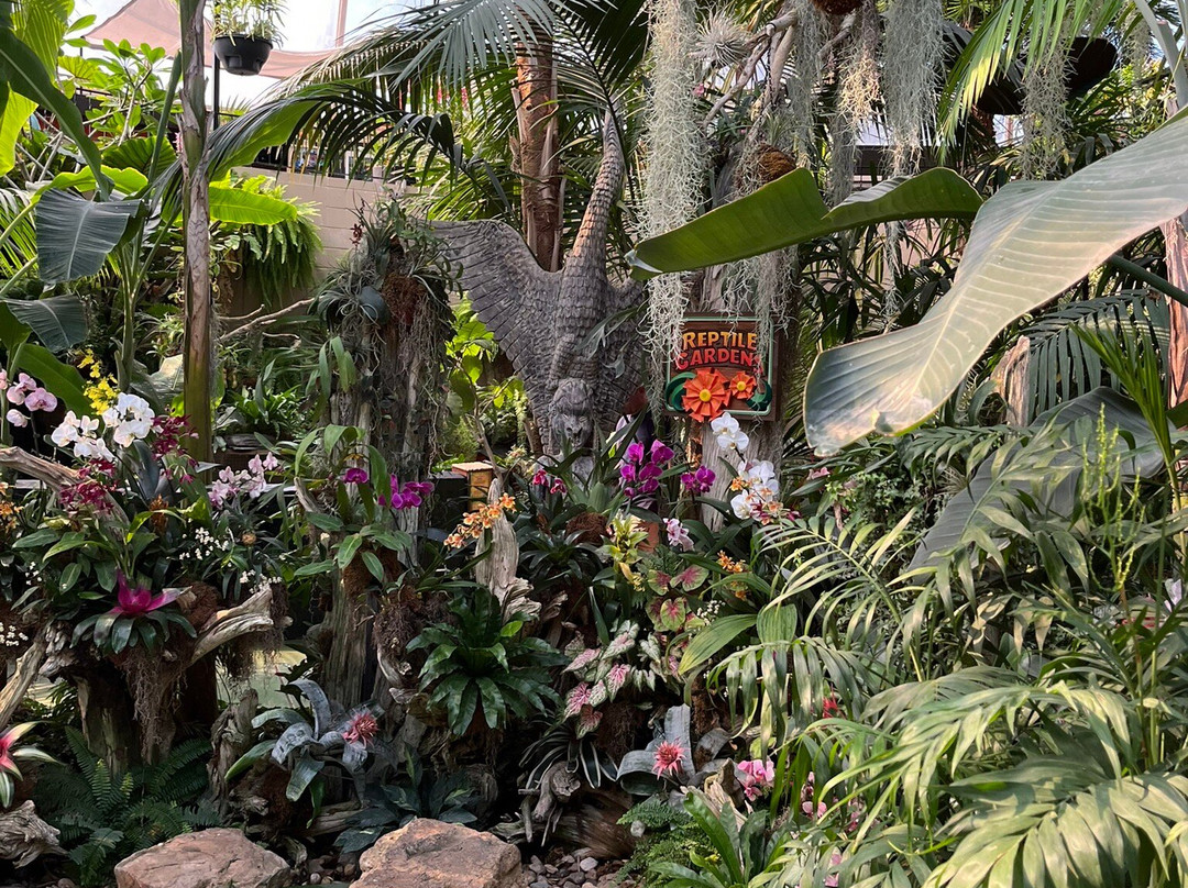 爬虫公园-拉皮德城必去景点