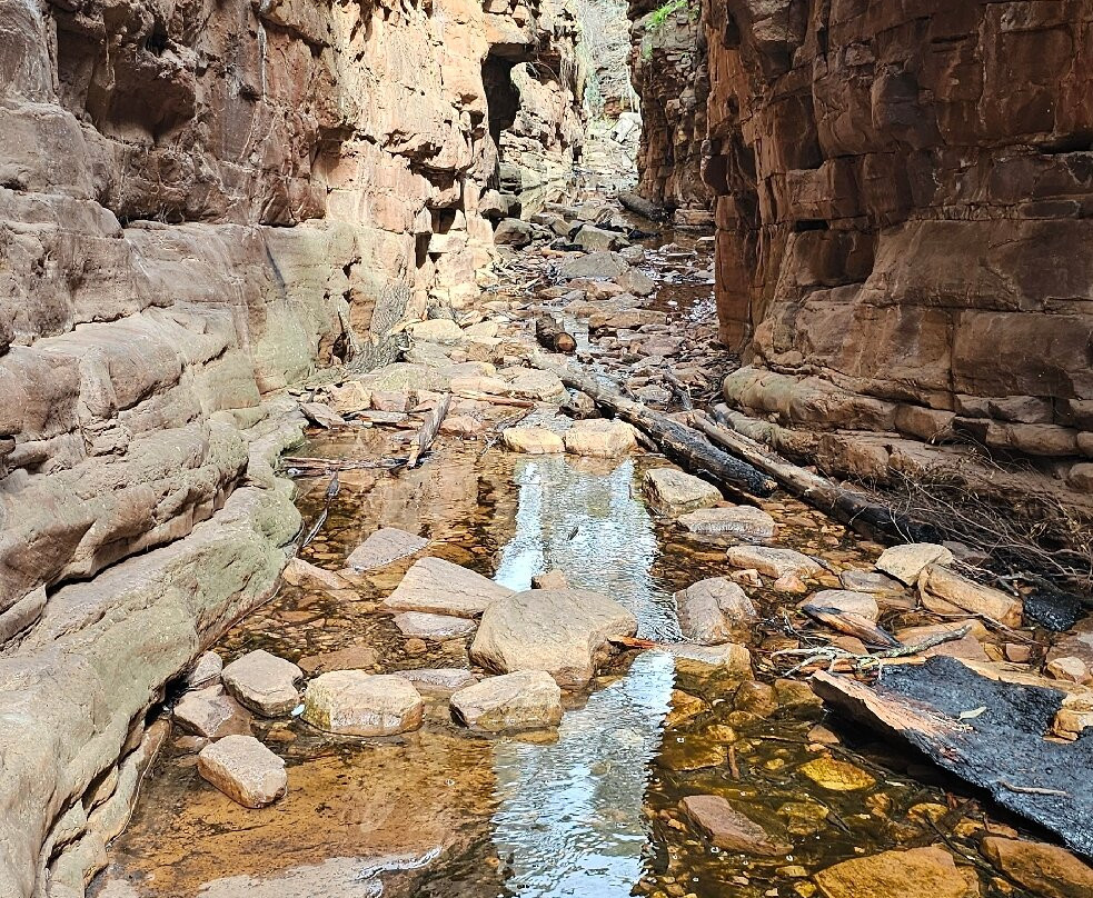 Alligator Gorge-Wilmington必去景点