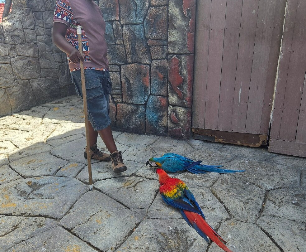 Amazonia: The Jungle Experience Tour-威廉斯塔德必去景点