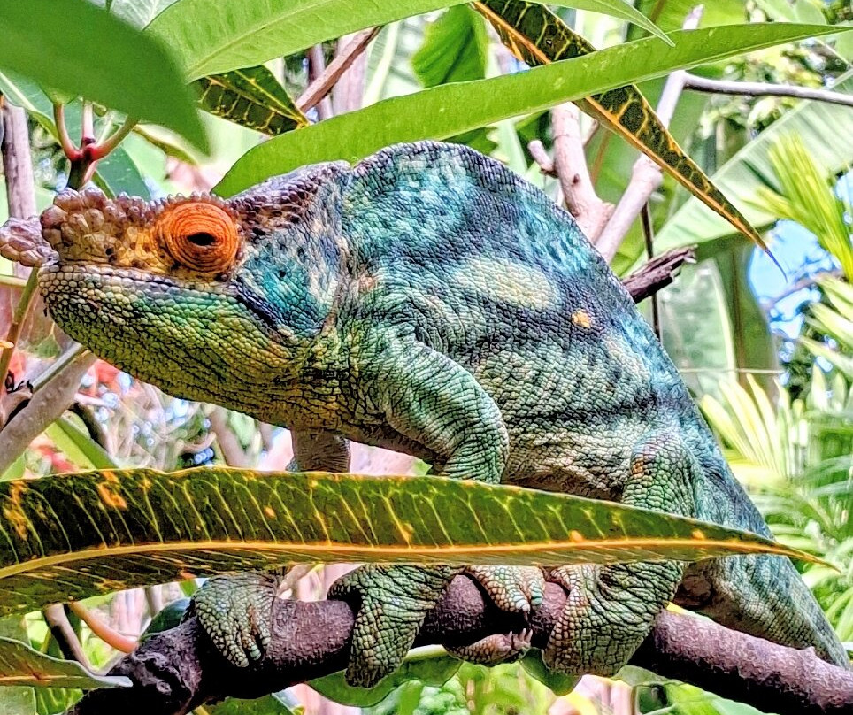 Lemuria Land-诺西贝必去景点