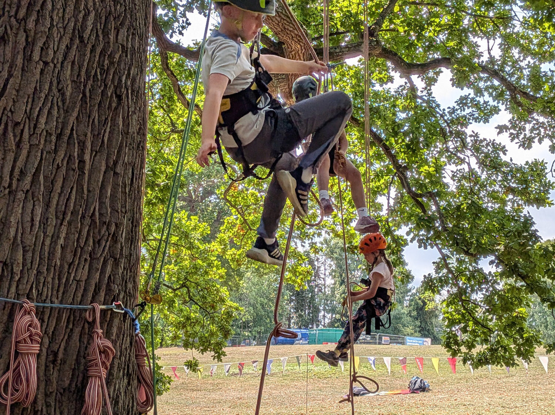 Goodleaf Tree Climbing-赖德必去景点