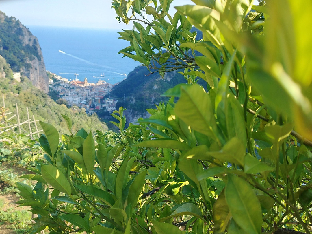 Valle delle Ferriere-阿马尔菲必去景点