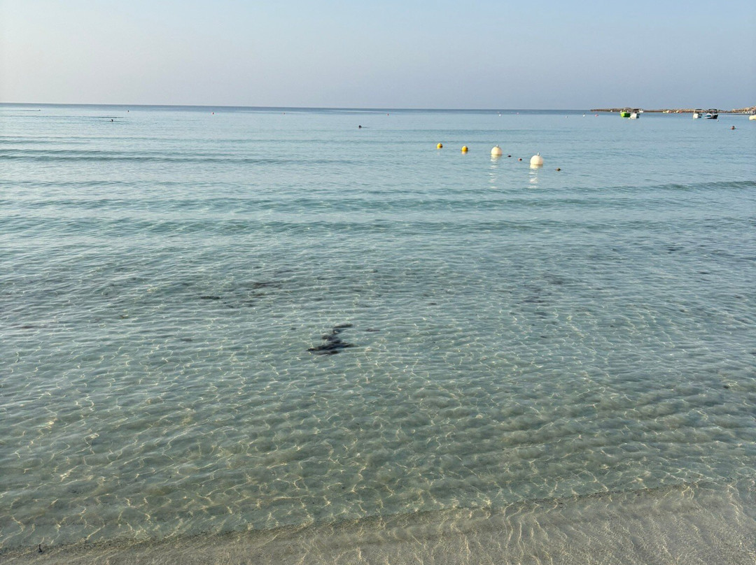 Landa Beach-阿依纳帕必去景点