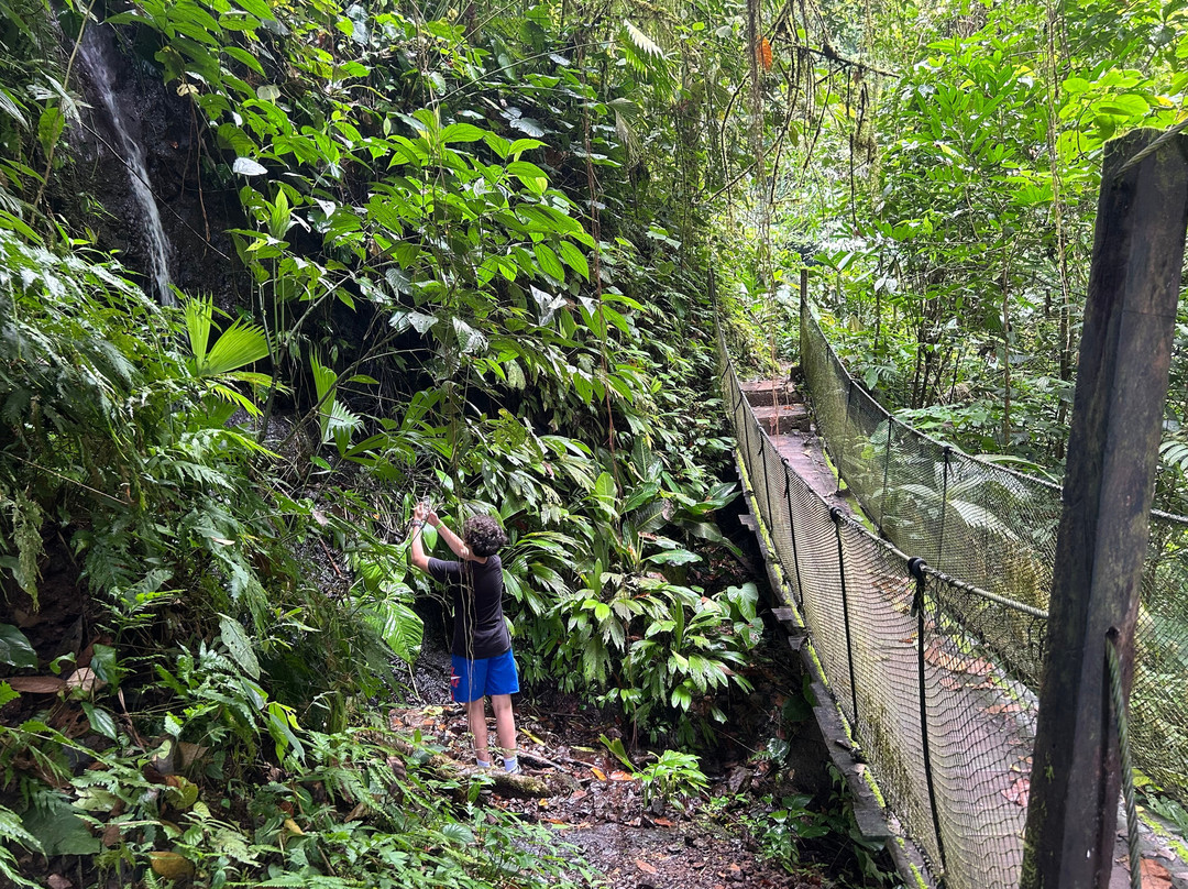 Rainmaker Park-帕利塔必去景点