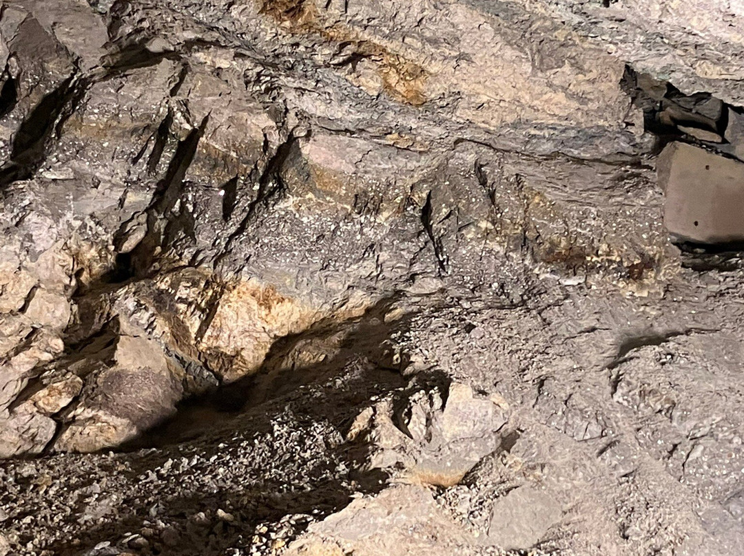 Phoenix Gold Mine-Idaho Springs必去景点