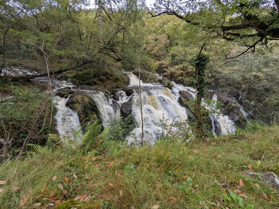 Rhaeadr Ddu and Coed Ganllwyd Walk-Ganllwyd必去景点