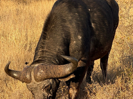 Frame The Wild Pty Ltd-Stellenbosch Farms必去景点