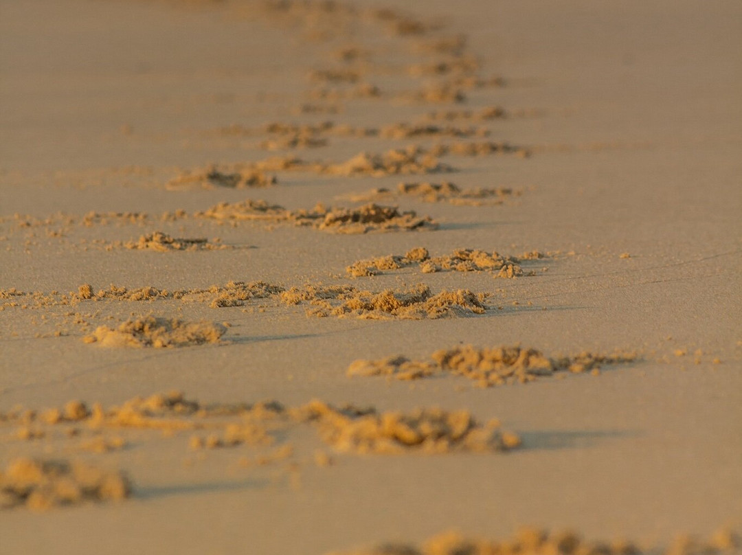 桑德尔斯宾馆主图