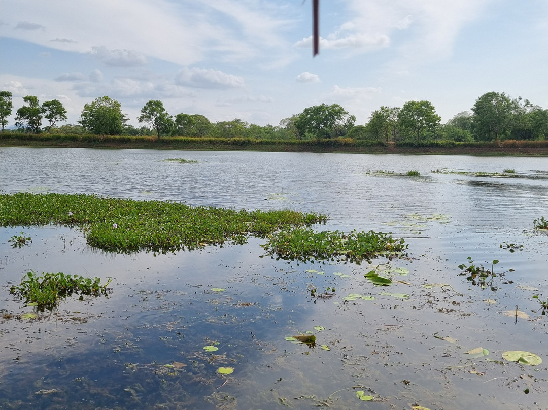 Amarina Holidays-阿努拉德普勒圣城必去景点