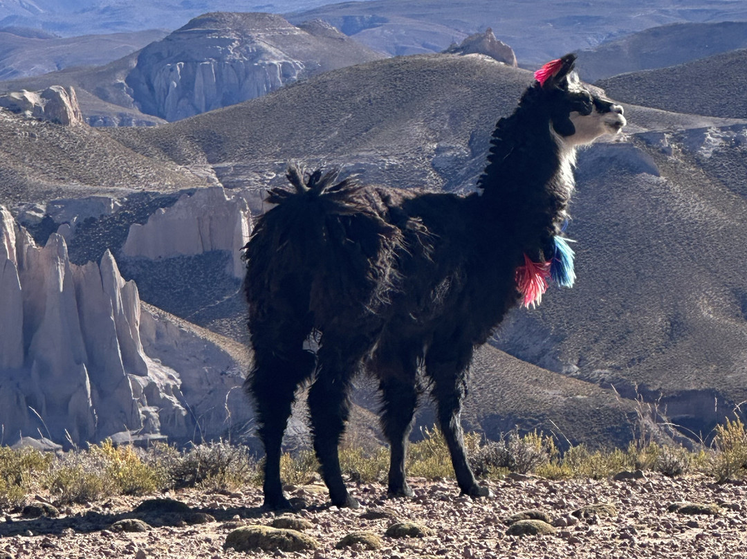 Thaki Voyage-拉巴斯必去景点