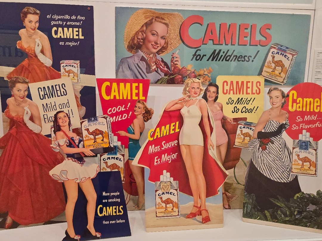 Reynolda House Museum of American Art-温斯顿塞勒姆必去景点