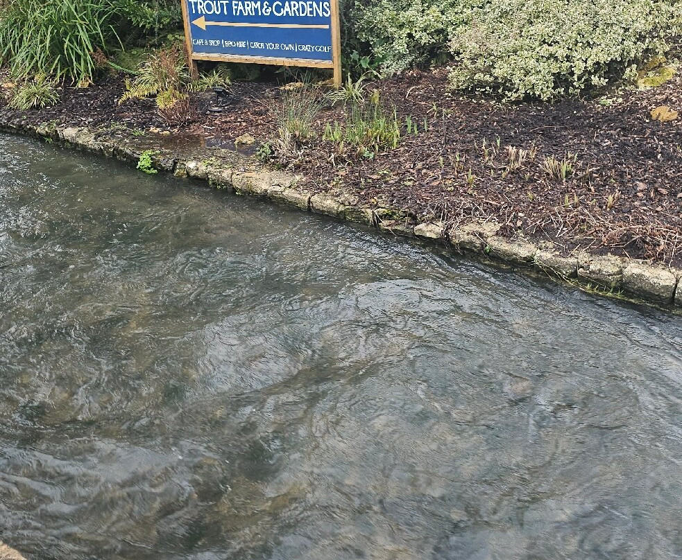 拜伯里鳟鱼养殖场-拜伯里必去景点