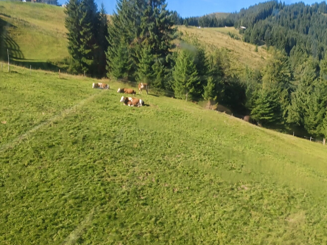 Markbachjochbahn-尼德豪必去景点