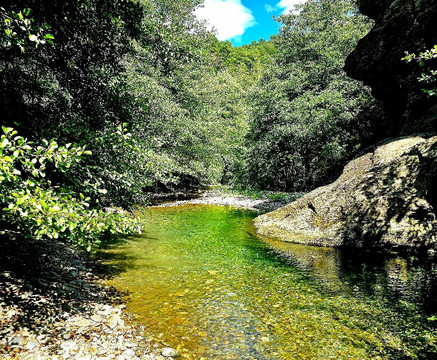 Wonders Of Provence Private Tours-圣雷米必去景点