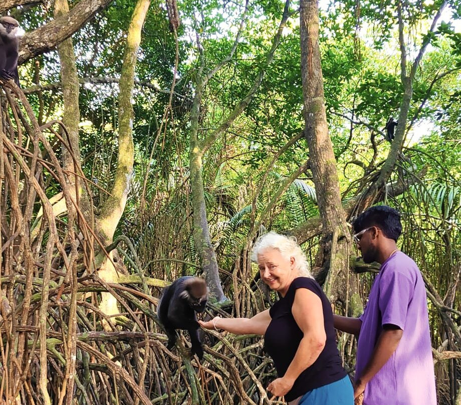 Luba Tours-Aluthgama必去景点