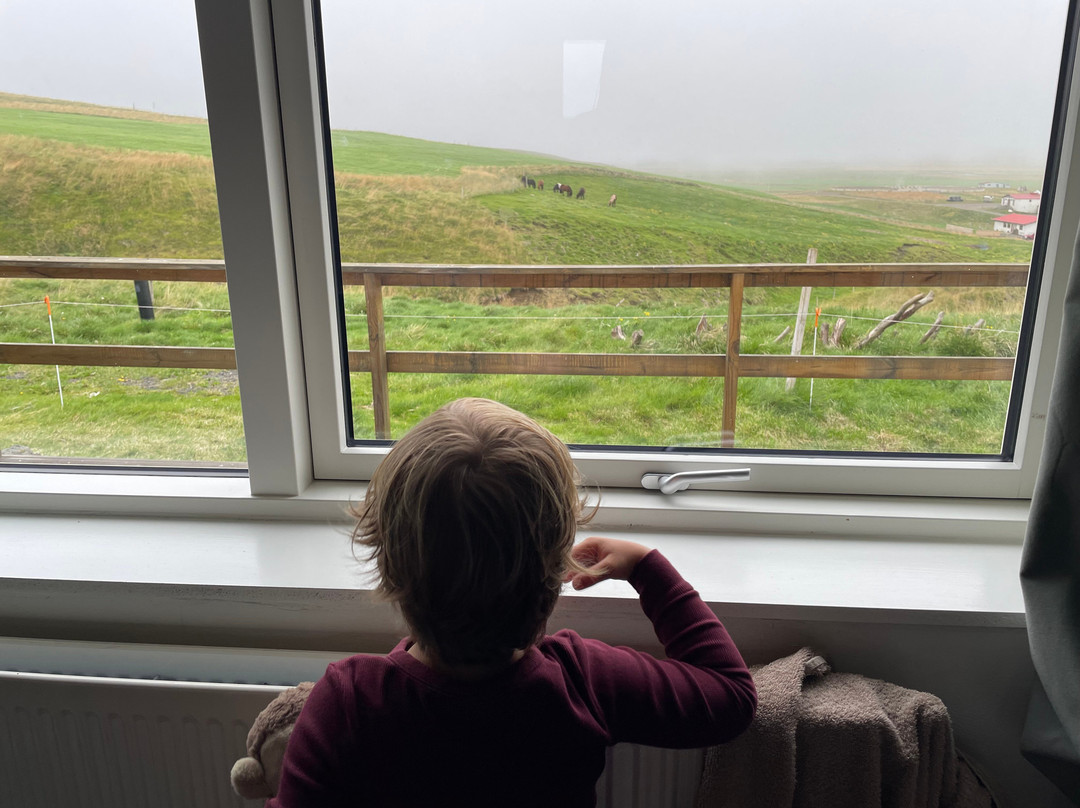 Stora - Asgeirsa-华姆斯唐吉必去景点