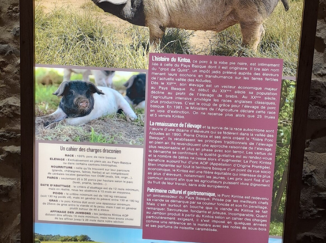 Musee du Jambon de Bayonne-Bayonne必去景点