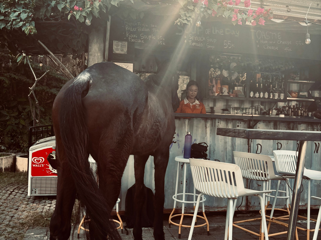 Royal Sporthorse Bali-Kutuh必去景点