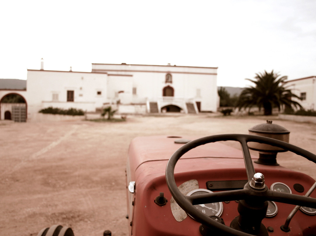 Extravergine Savoia-法萨诺必去景点