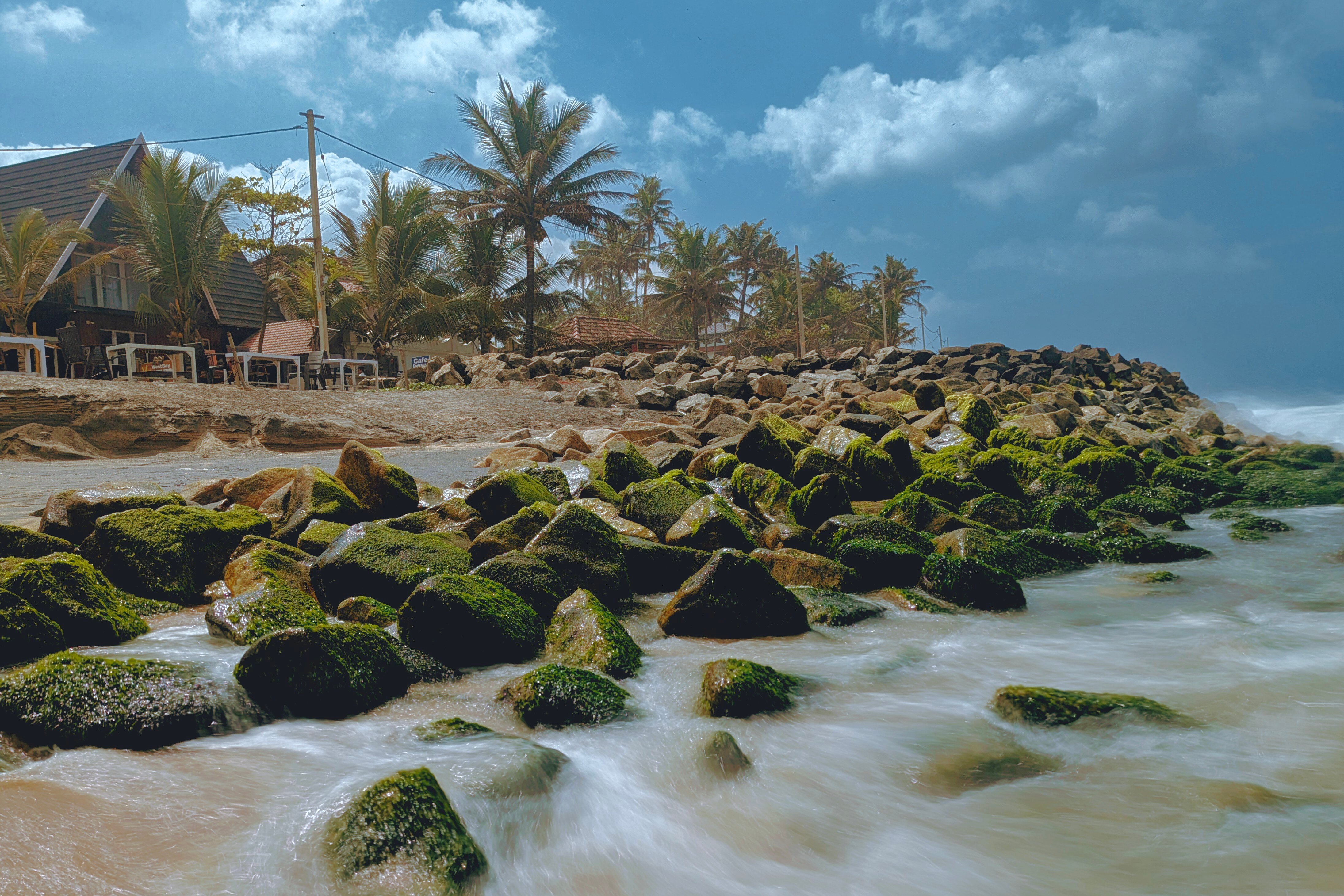 Magnolia Guesthouse Varkala-官方