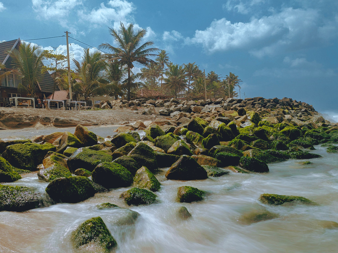 Magnolia Guesthouse Varkala主图