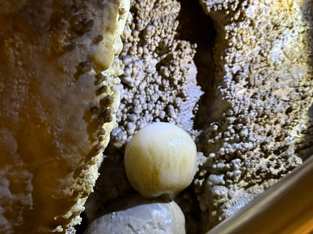 Grotta Antro del Corchia-Levigliani必去景点