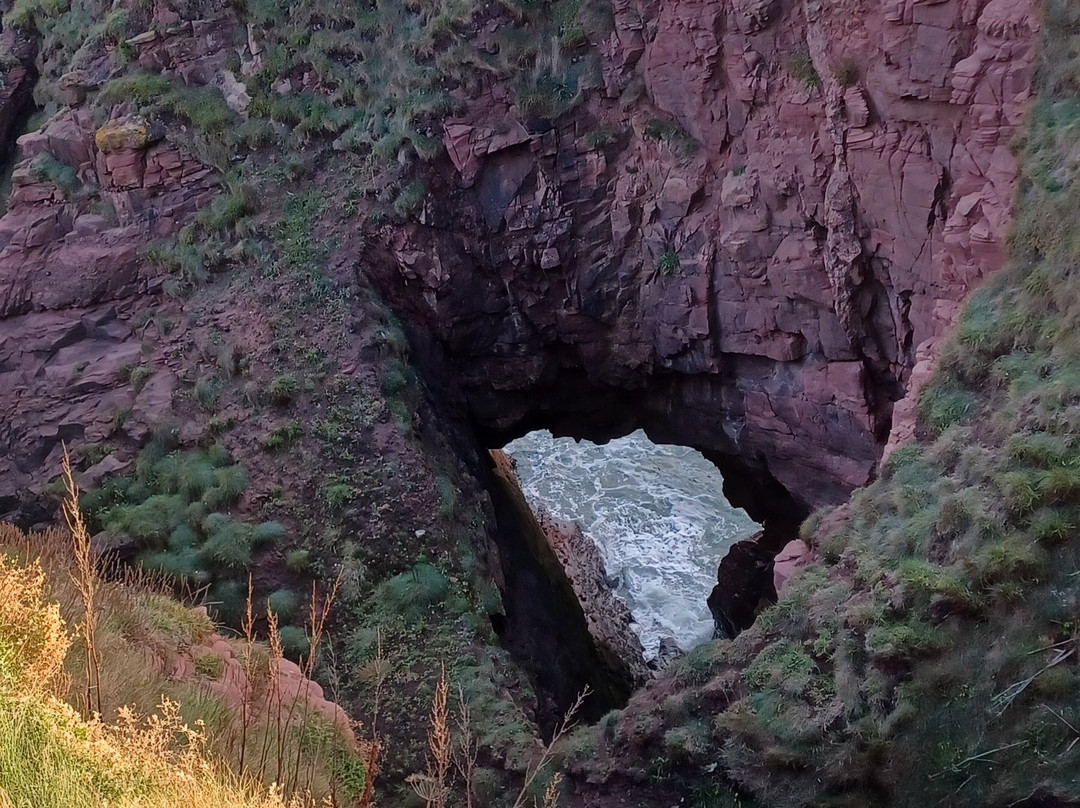 Arbroath to Auchmithie Coastal Path-Arbroath必去景点