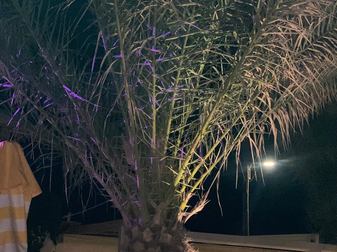 Albatross Beach Bar-卡马里必去景点