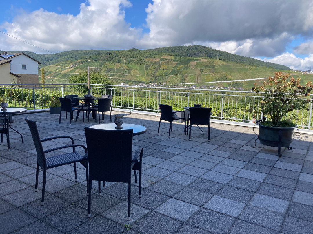 Weingut-Pension Tiliahof主图