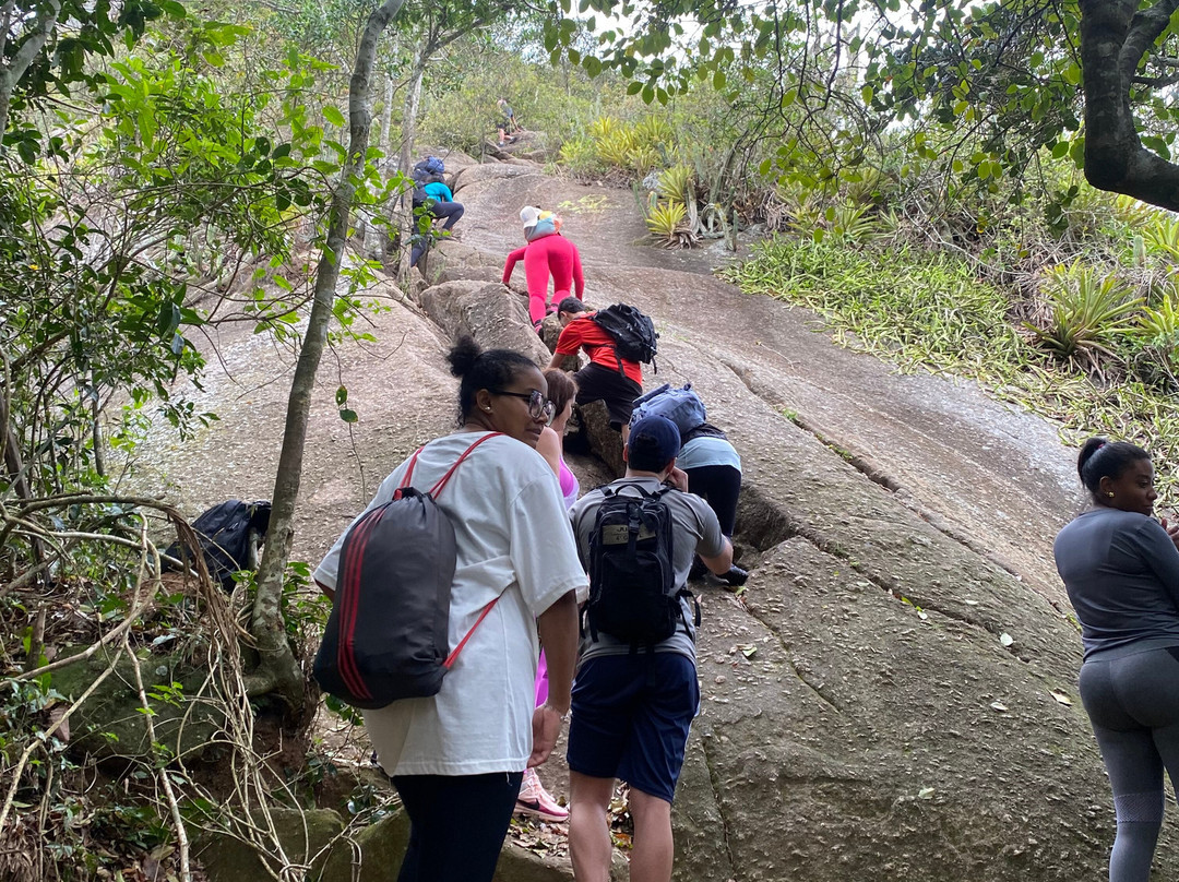 Pedra do Elefante Trail-尼泰罗伊必去景点