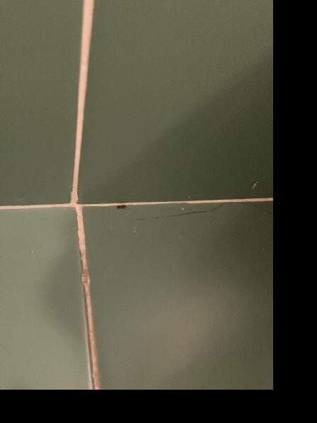 欧洲皇宫酒店主图