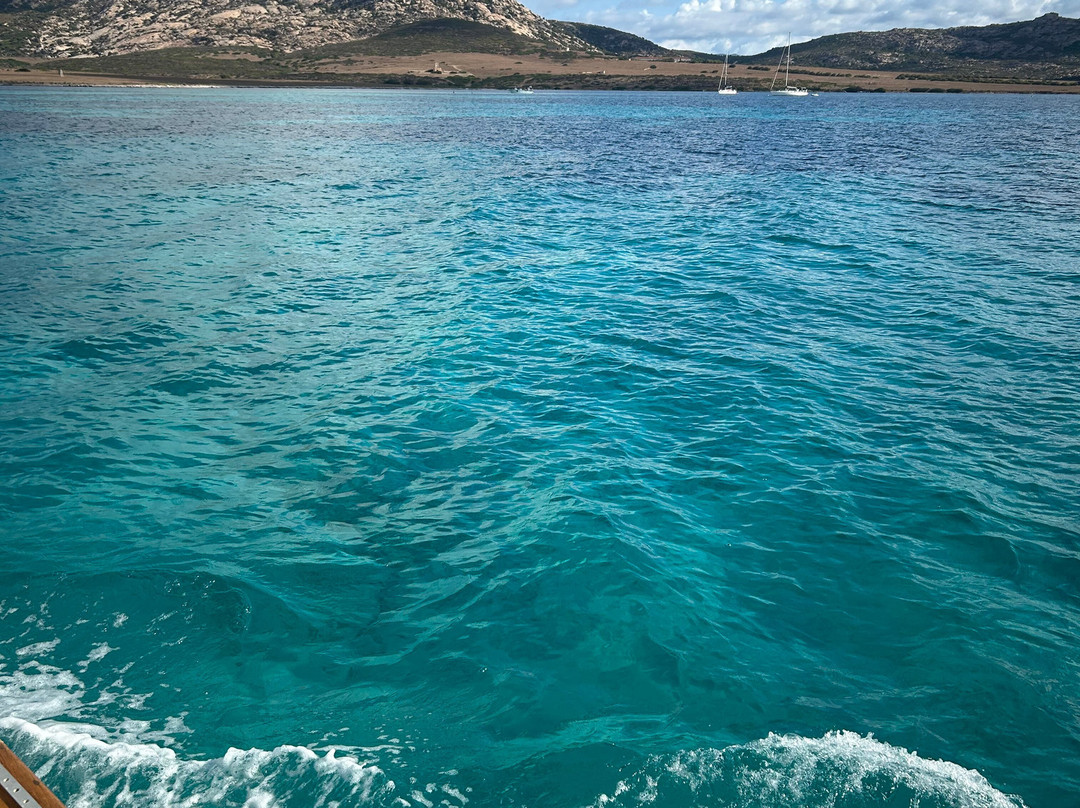 Asinara Charter Service-斯廷蒂诺必去景点