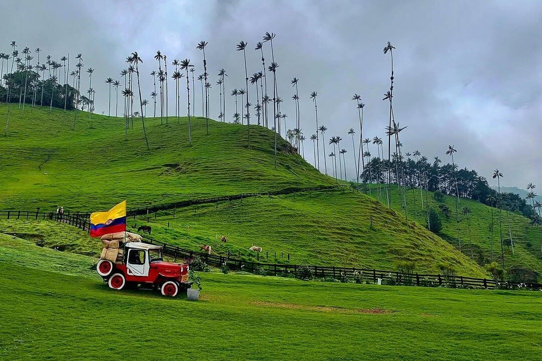 Cocora - Cielo.Travel